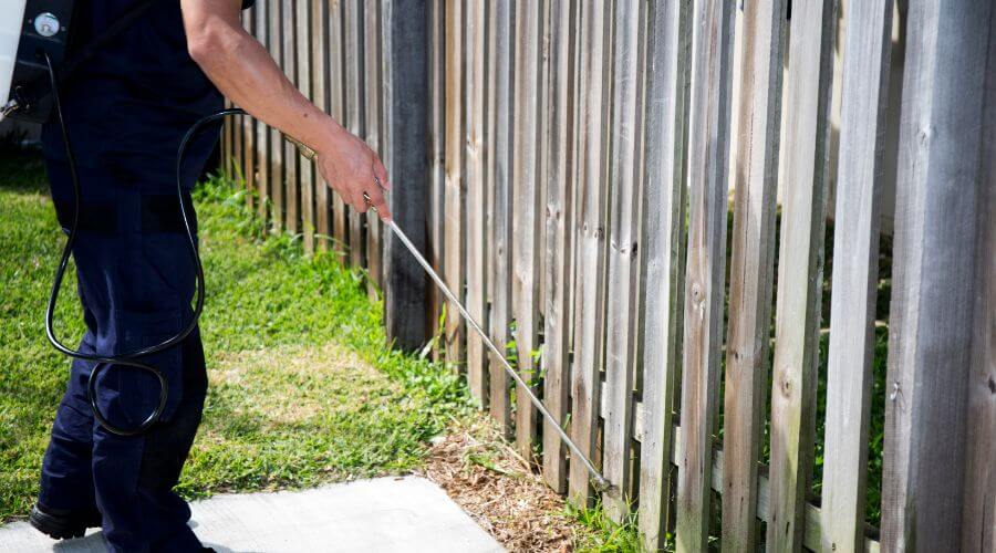 Why choose Global Pest Control Zirakpur for pest control in Zirakpur